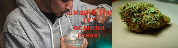 прущие грибы Абаза