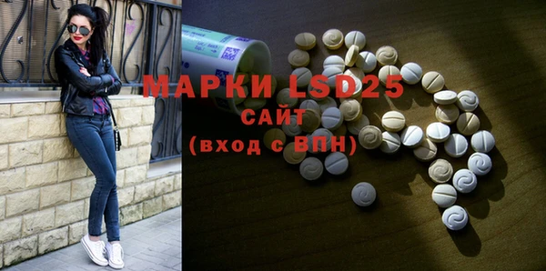 прущие грибы Абаза