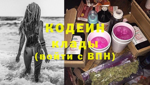 прущие грибы Абаза