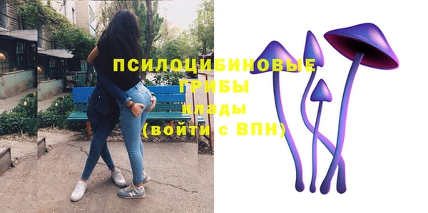 сатива Пролетарск