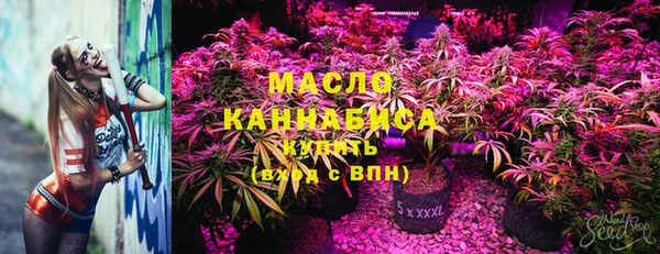 прущие грибы Абаза
