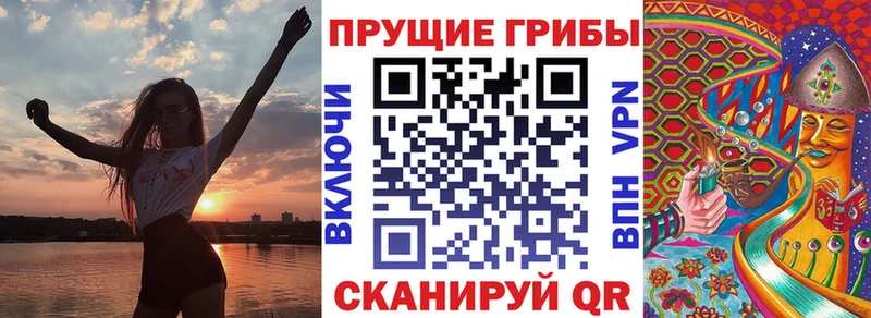 как найти закладки  Бирюсинск  Галлюциногенные грибы мухоморы 